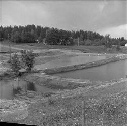 Ørretdammene i Lier, oppdrettsfisk, Buskerud, 01.08.1958