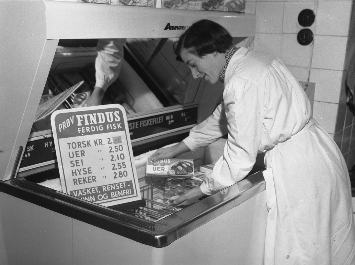 Ant. Oslo, 19.10.1953. Fiskehandler ved frysedisk med fisk fra Findus.