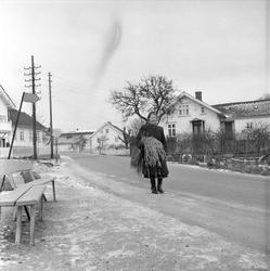 Fevik, Grimstad, desember 1957. Kvinne med kornnek på vei.