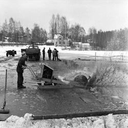 Tjernsmyra, Bærum, Akershus, 11.03.1957. Landskap og menn me