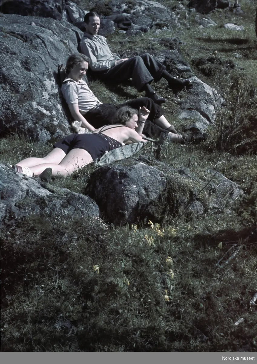 Två kvinnor och en man vilar i backe med gullvivor.