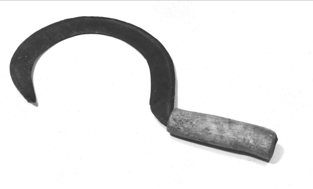 Skära (krokskära) med halvmånformad kniv intappad i ett enkelt träskaft. Kniven har ansats till vulst på ryggsidan.