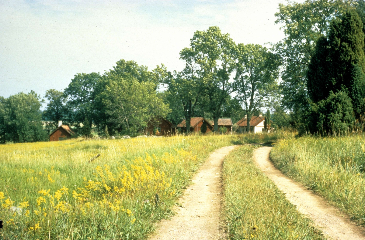 Ängsmark i Grytbol, Funbo socken, Uppland 1971