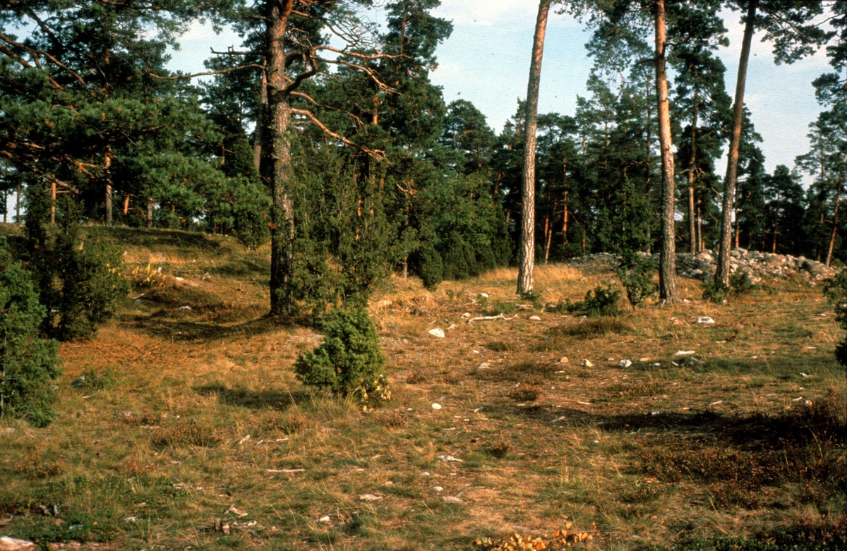 Röse, Rösaring, Låssa socken, Uppland 1982