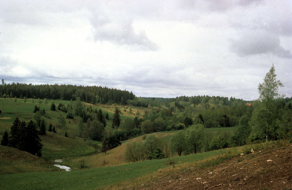 Landskapsvy, Österunda socken, Uppland 1974
