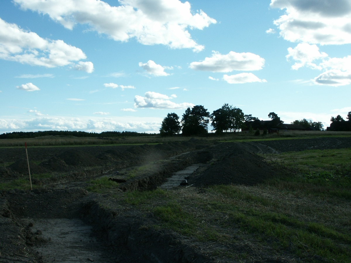 Arkeologisk förundersökning, Lövstaholm, Gamla Uppsala, 2003
