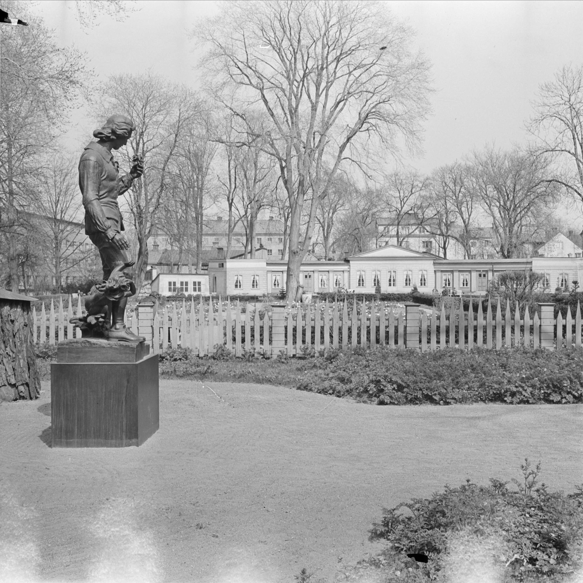 Staty av Carl von Linné vid ingången till Linnéträdgården, kvarteret Örtedalen, Uppsala