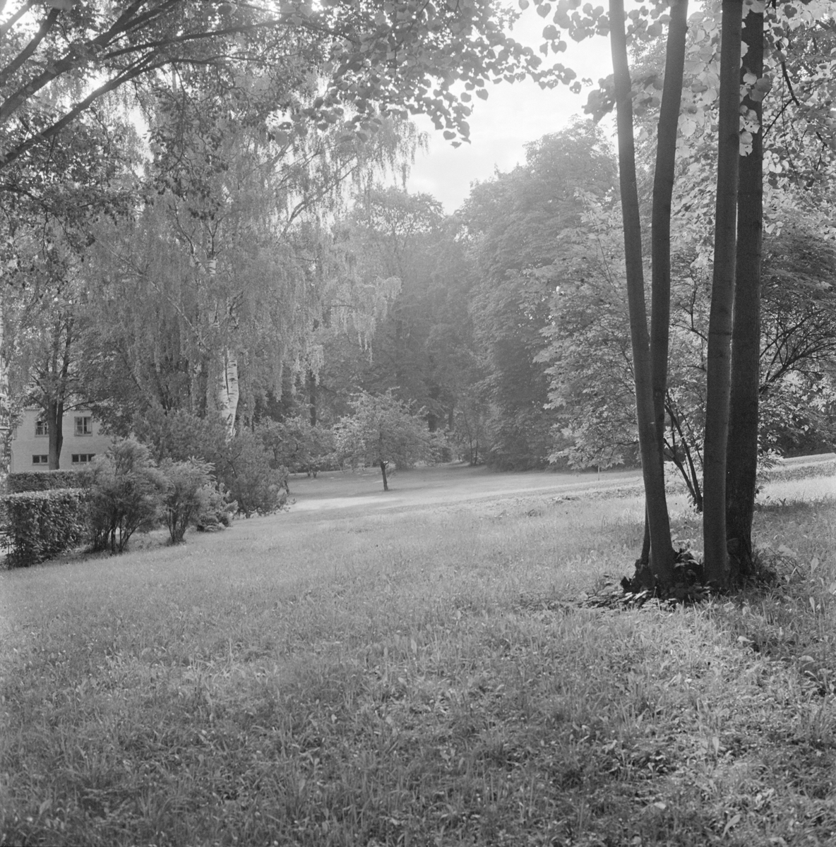 Parken utanför Akademiska sjukhuset, avdelning B 47-44, Uppsala 1958