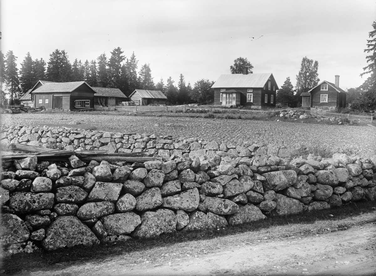 Gårdsmiljö med åker och stenmur, Hållnäs socken, Uppland, sannolikt 1920-tal