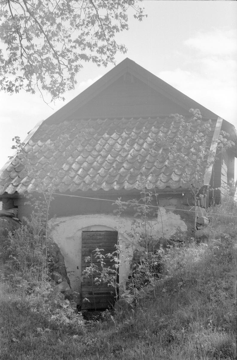 Jordkällare, Prästgården 1:1, Lena socken, Uppland 1977