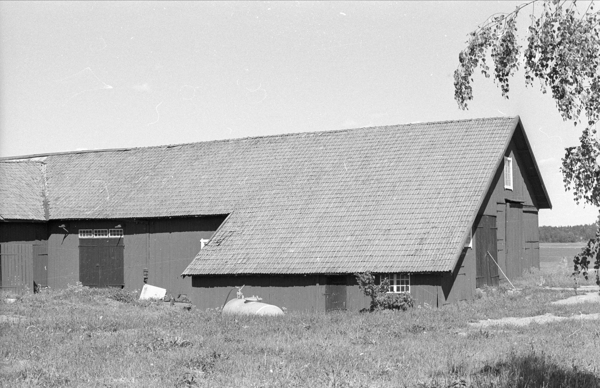 Ladugård, stall och loge, Viggeby 1:1, Viggeby, Danmarks socken, Uppland 1977