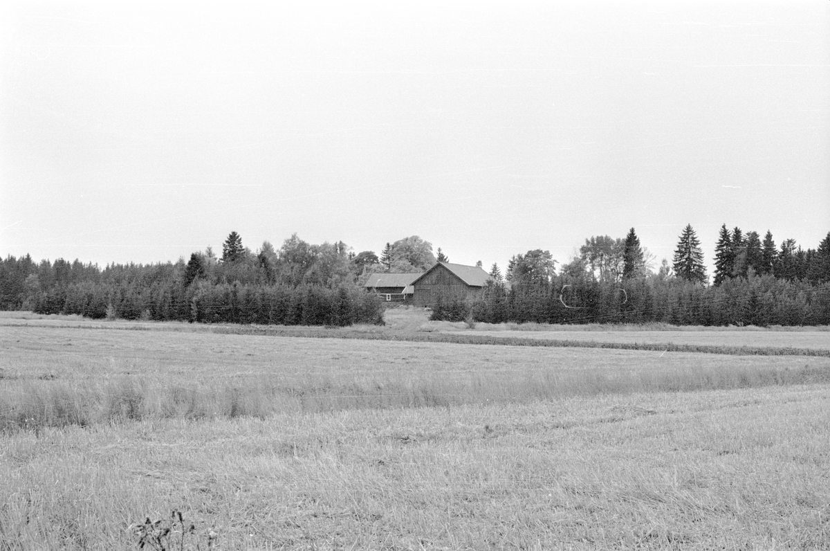 Vy över Hånsta 3:2, Hånsta, Lena socken, Uppland 1978