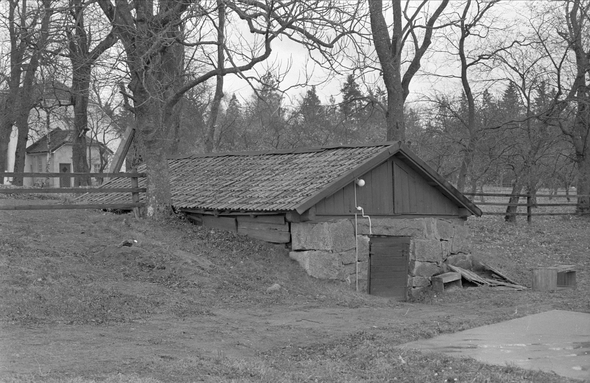 Källare, Skediga gård, Skediga, Bälinge socken Uppland 1978