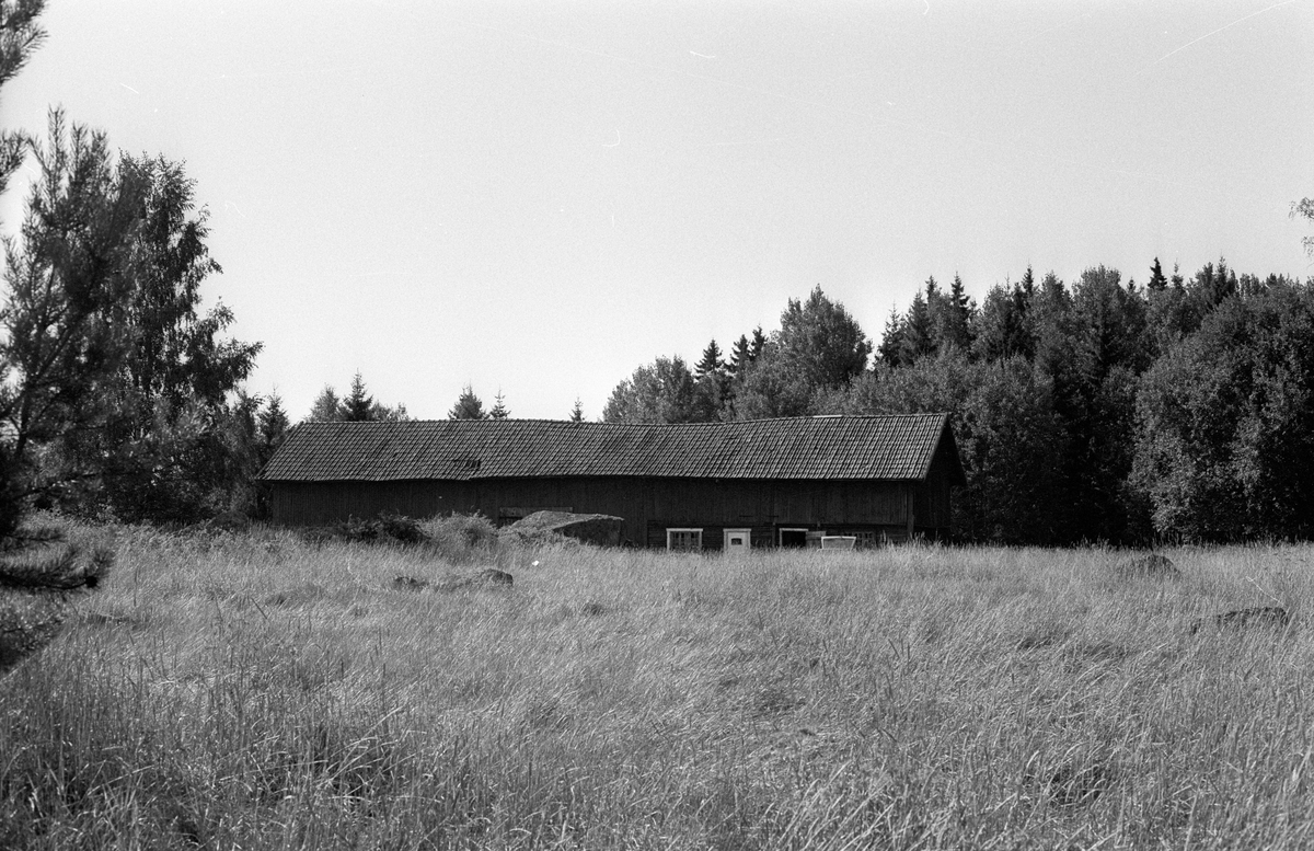 Ladugård och lada, Enbylehagen, Rasbo socken, Uppland 1982