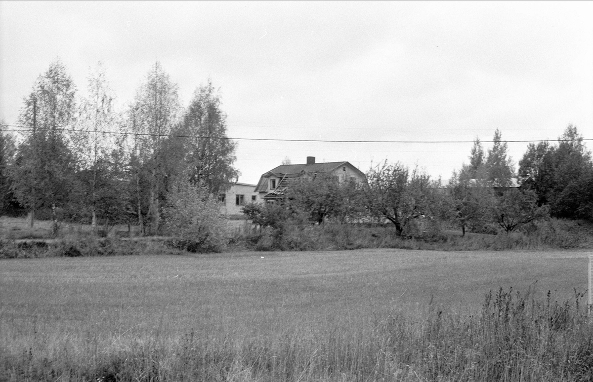 Vy över snickerifabrik, Oxsätra 1:19, Bälinge socken, Uppland 1983