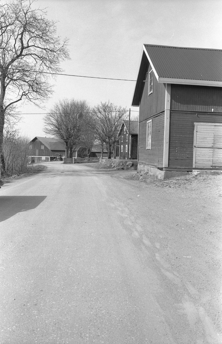 Vägen mot Bärby med Solvalla 9:1 i bakgrunden, Solvalla, Faringe socken, Uppland 1988