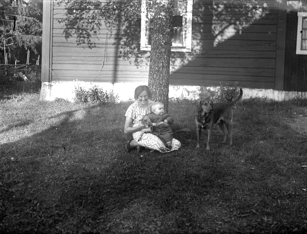 Kvinna och spädbarn med katt och hund, Tierpstrakten, Uppland omkring 1915 - 1920