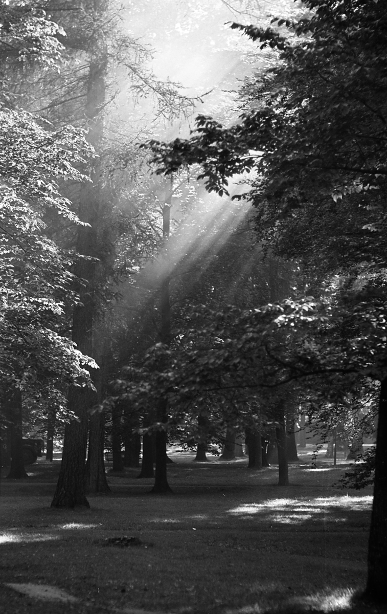 Engelska parken, Uppsala 1961