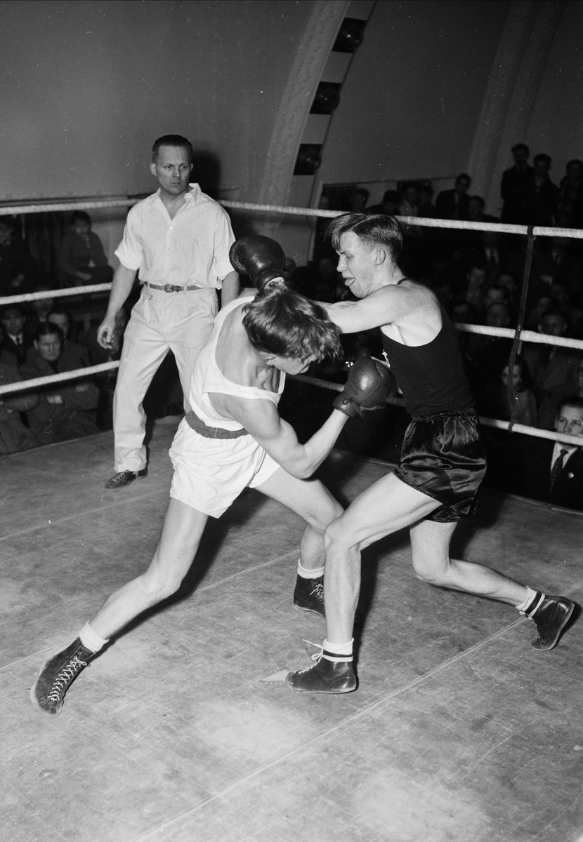 UIF:s boxning på Bluffen, Uppsala publik februari 1952