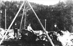 Dyrking med steinbukk, trolig Øyslebøområdet.