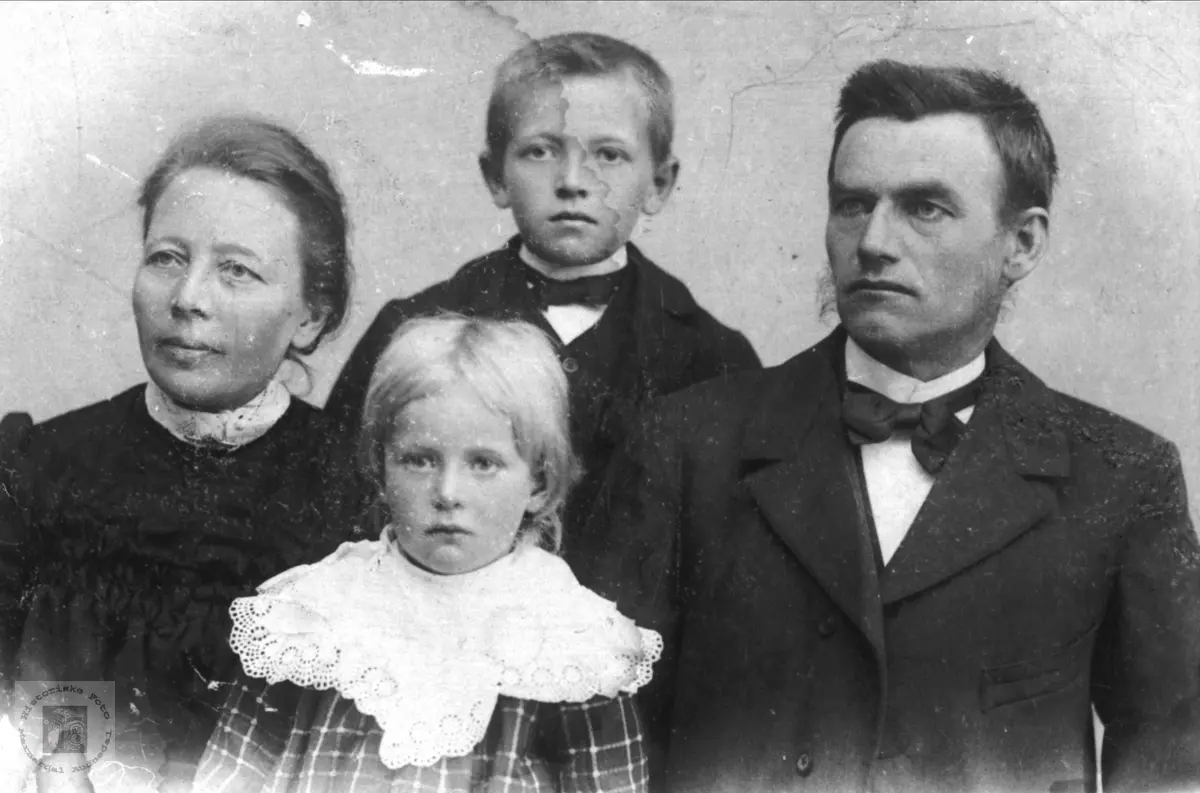 Familiegruppe Vigemyr, Øyslebø.