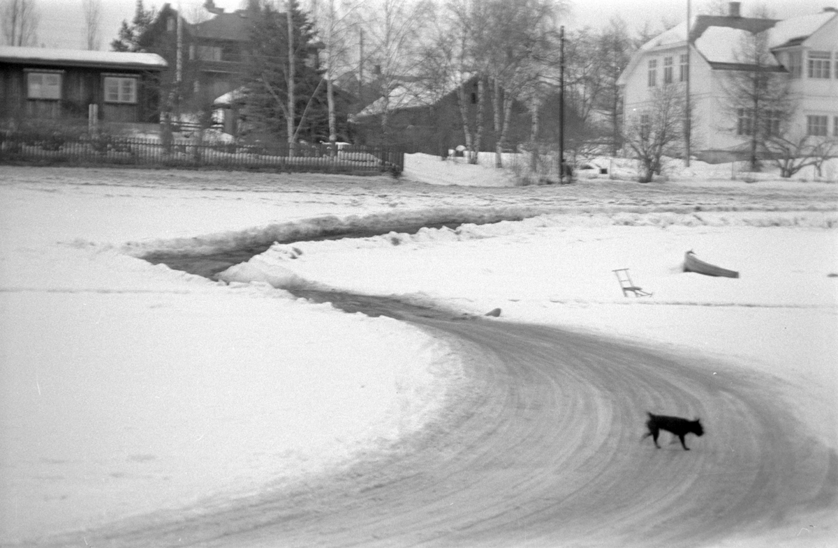 Tingnes, Nes Hedmark, isveg på mjøsisen