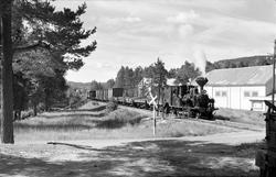 Damplokomotiv nr. 5 i godstog 5661 tar vann på Evje stasjon