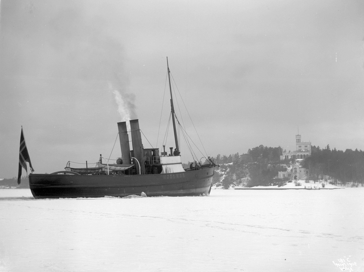 D/S Mjølner (b. 1878, Kockums Mekaniske Verksted, Malmø), under fart.