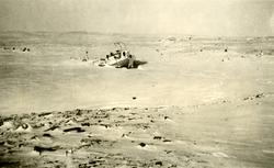 Polarskipet Maud, Cambridge Bay 1935/36.