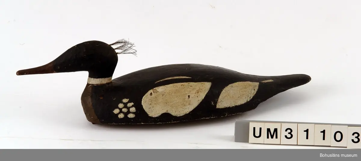 Föremålet visas i basutställningen Kustland,  Bohusläns museum, Uddevalla.

Vette i modell av småskrakehane.
Kroppen fastspikad mot platta. Urholkad skuren kopp fastspikad mot platta med fastsatt  huvud. På bakhuvudet fästat en tofs av glest hästtagel. Målad med svart linoljefärg på kroppen, brund bröstparti, vita fläckar och prickar vid vingarna och vit rand runt halsen, näbben röd.  På undersidan två metallöglor. 

Ingår i den samling av nio sjöfågelvettar som Bernhardson samlat och möjligen också själv använt vid sjöfågeljakt. Man kan tyda undersidans anteckningar som att samtliga vettar utom UM31105 och UM31106 (ejderhanar) är tillverkade av samma person, Österberg på Käringön.
Troligen avses:
Österberg, Laurentz Simon Gottfrid
Grönskhult Stora, Sälvik
Död 2/12 1962.
Kyrkobokförd i Skaftö, Skaftö kn (Göteborgs och Bohus län, Bohuslän).
Född 22/11 1872 i Käringön (Göteborgs och Bohus län, Bohuslän).
Gift man (3/11 1928).
Uppgifter ur Sveriges Dödbok 1943-2000.

Se artikel i Bilagepärmen UM17525 om sjöfågelvettar ur Trä och Textil 2/1984 samt UM31101 för artikel ur Jakt 1967 (se nedan).

Litt: Brusewitz, Gunnar: Sjöfågeljakt. Artikel ur Jakt, 1967.
Englund, Lars: Vettar och sjöfågeljakt. Nautiska förlaget AB 2007.