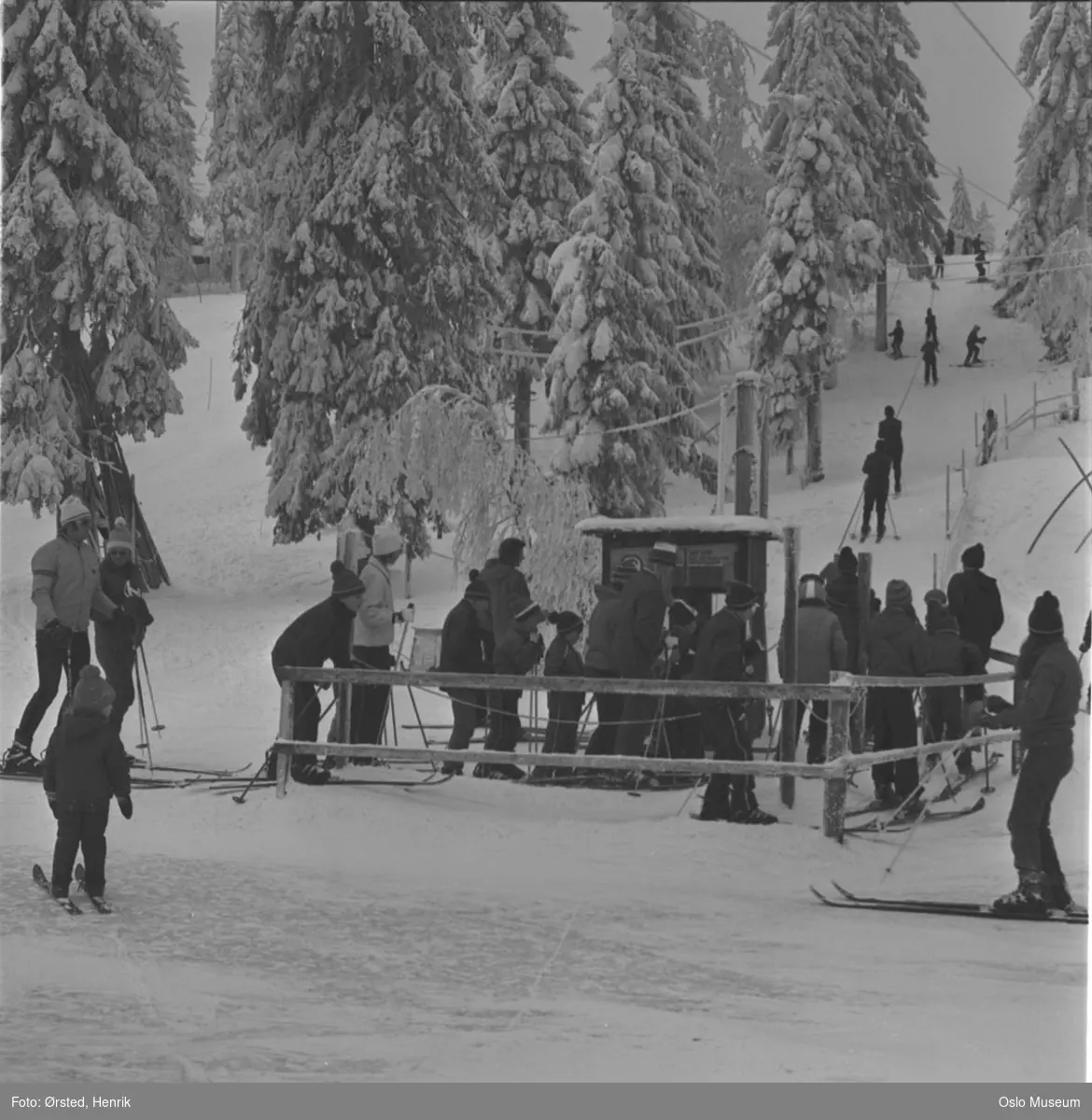 Tomm Murstad skiskole, skitrekk, skiløpere, kø, snø