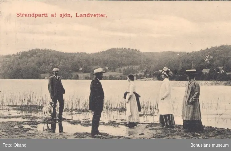 Tryckt text på kortet: "Strandparti af sjön, Landvetter".



