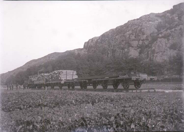 Enligt text som medföljde bilden: "Jernvägsvagnar + Lok vid Fjälla sept/okt 12."