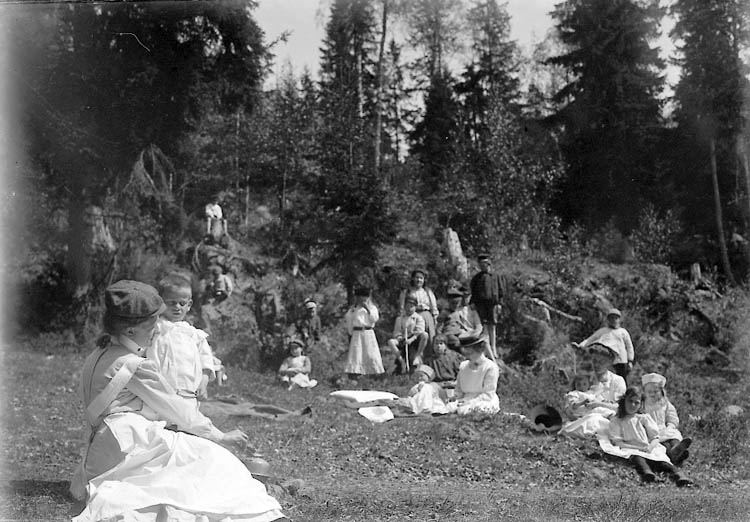 Enligt fotografens journal nr 2 1909-1915: "Kristinedal Fr. Elvira Pålsson".
Enligt fotografens notering: "Fröken Elvira Pålsson, Lissiestugan Kristindeal Tösse".