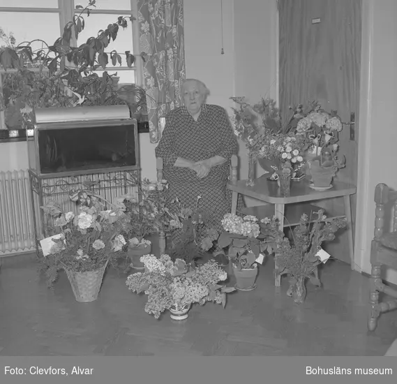 Text till bilden: "Fru Jacobsson, Ålderdomshemmet. 90 år. 1954.06.03"