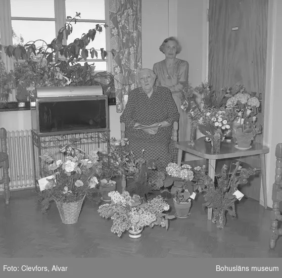 Text till bilden: "Fru Jacobsson, Ålderdomshemmet. 90 år. 1954.06.03"