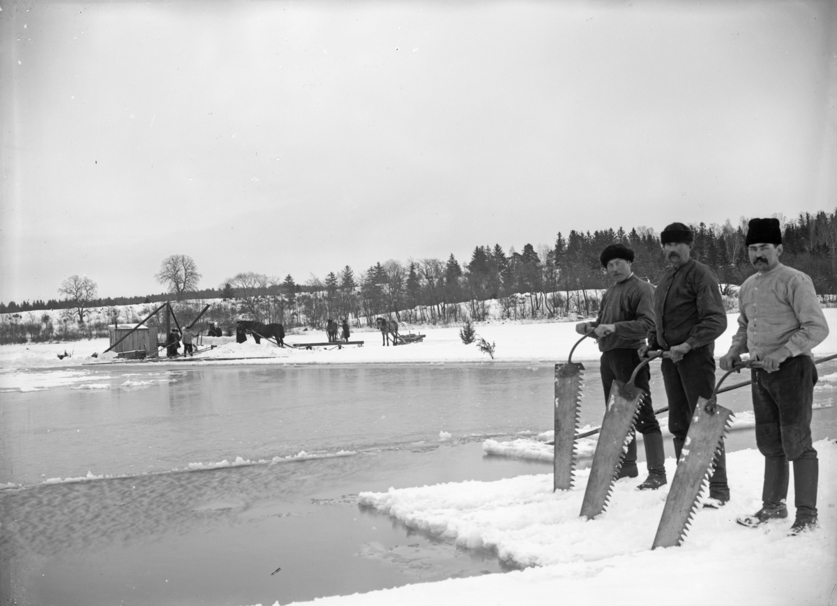 Isupptagning, troligen i trakten av Kesudden, Svinnegarns socken, Uppland. Mannen i mitten är skeppare Osvald Granath (1891-1964).