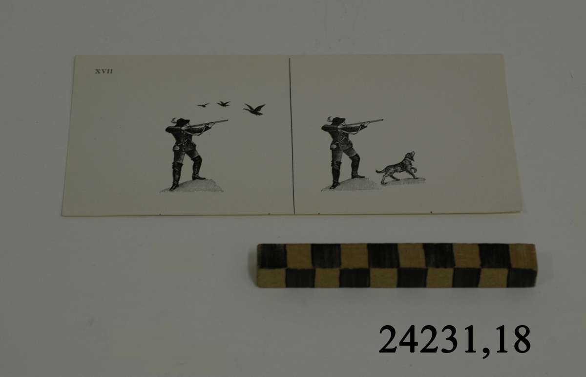Rektangulärt vitt pappersark numrerat XVII i övre vänstra hörnet. På arket syns två stycken olika bilder i svartvitt, en för vardera öga. Till vänster: Jägare som siktar mot tre stycken flygande fåglar. Till höger: Samma siktande  jägare i sällskap med hund. Fåglarna i denna bild saknas.