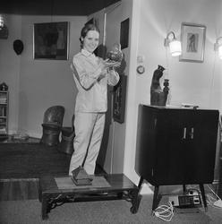 Hjemme hos Liv Ullmann.