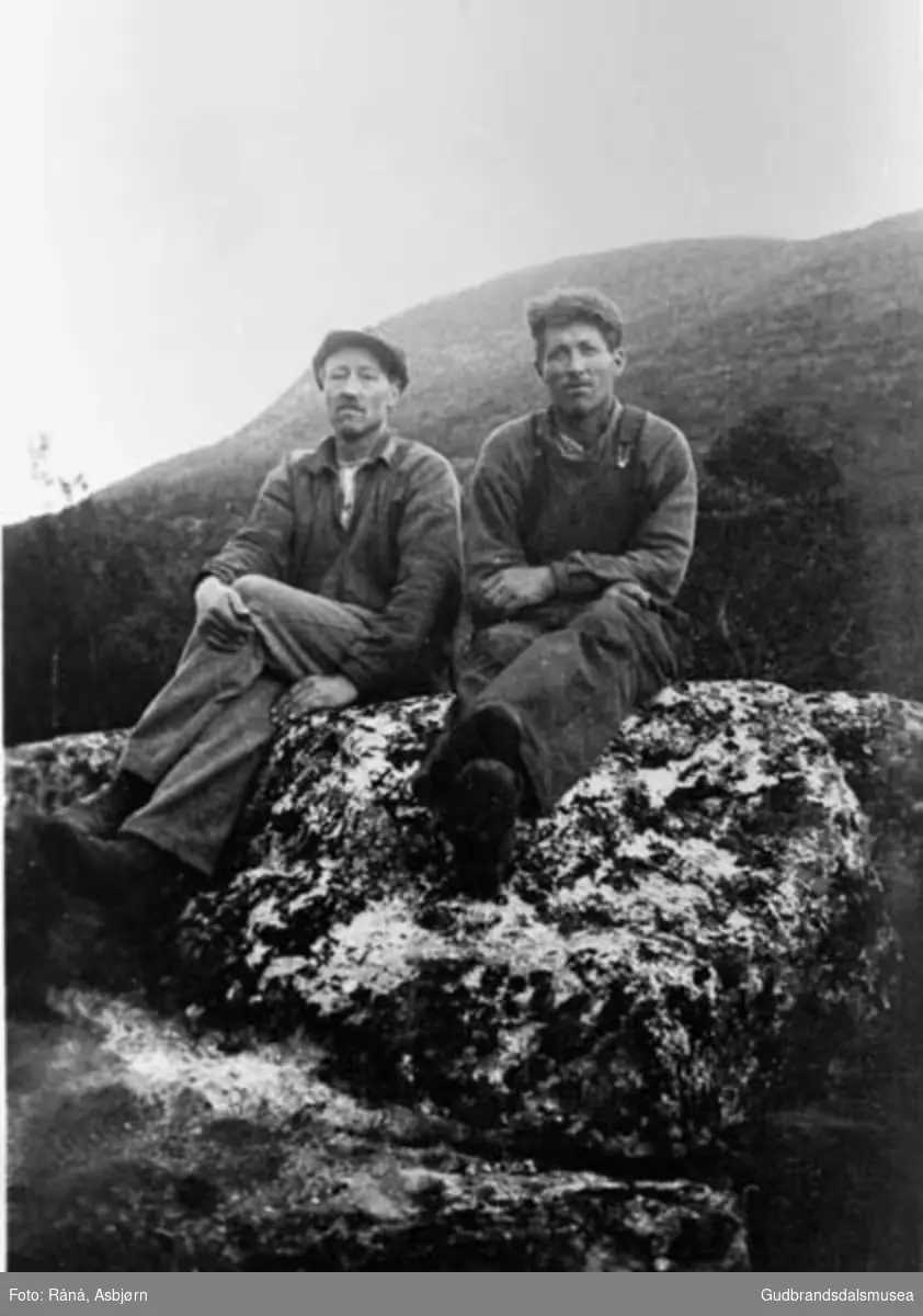 To karer sitter og hviler på en stein, fjell i bakgrunnen.

