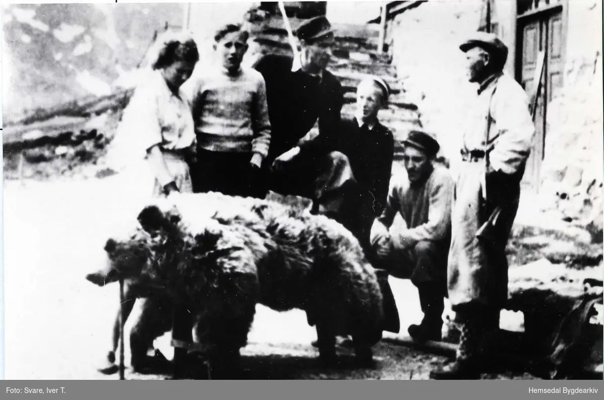 Den siste bjørnen vart skoten i Hemsedal, 29. mai 1929 og vart utstoppa.
Bjørnen vart felt av reinsgjetar Gustav Granefjell som står heilt til høgre i biletet.
Dei andre er frå venstre: Kari og Tore Svare, Ola O. Dokk, Arnt Bækken og Jeger Dokk.
Biletet er teke om lag 20 år seinare