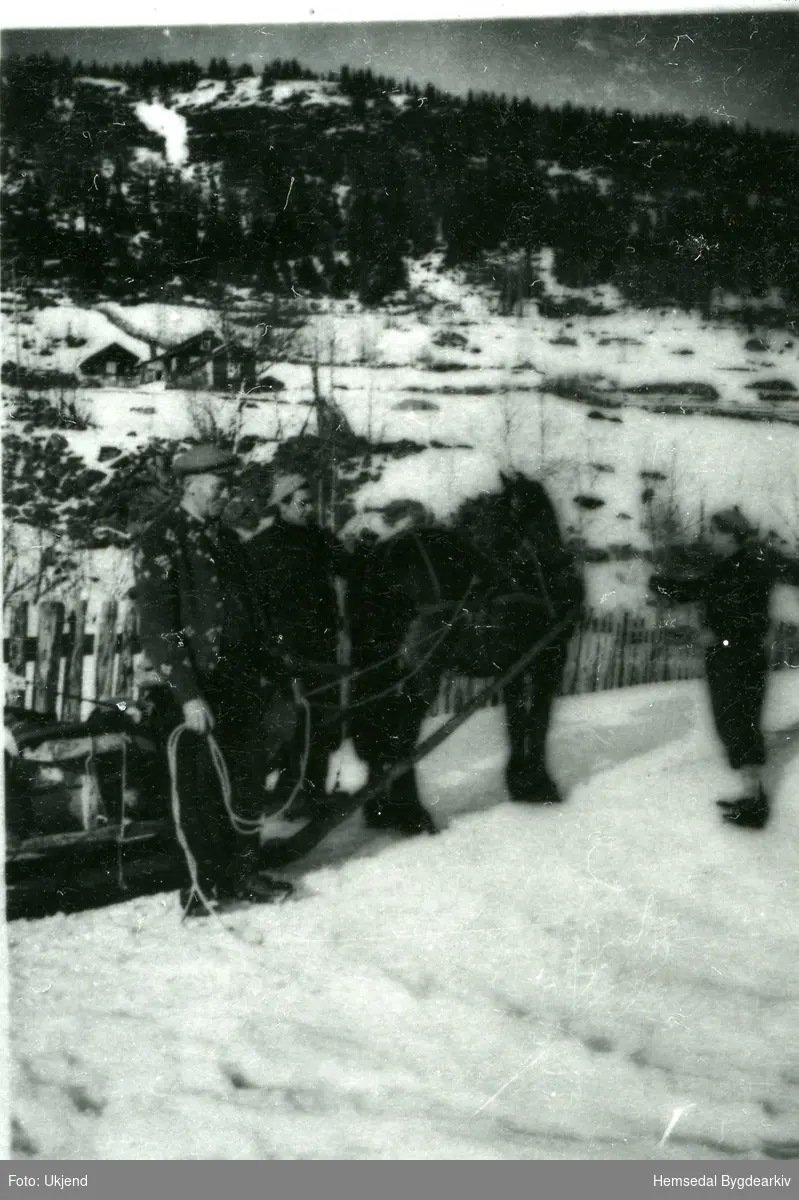 Gunvald Engebretsgard skyssar turistar til Lykkja
Fotografiet er teke ca. 1932