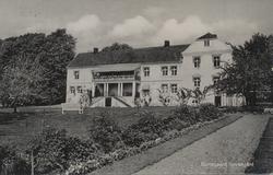 gård, Borregaard hovedgård, park, grusgang, trapp,