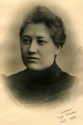 Stemmerettsjubileet 1913 - 2013 Telemark