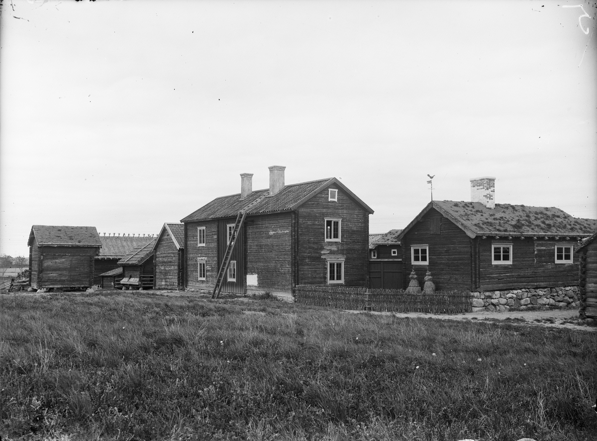 Gränbygården med Nyvlastugan på friluftsmuseet Disagården, Gamla Uppsala, Uppland, 1930