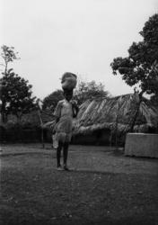 "Portugisisk gutt. Moluqua"