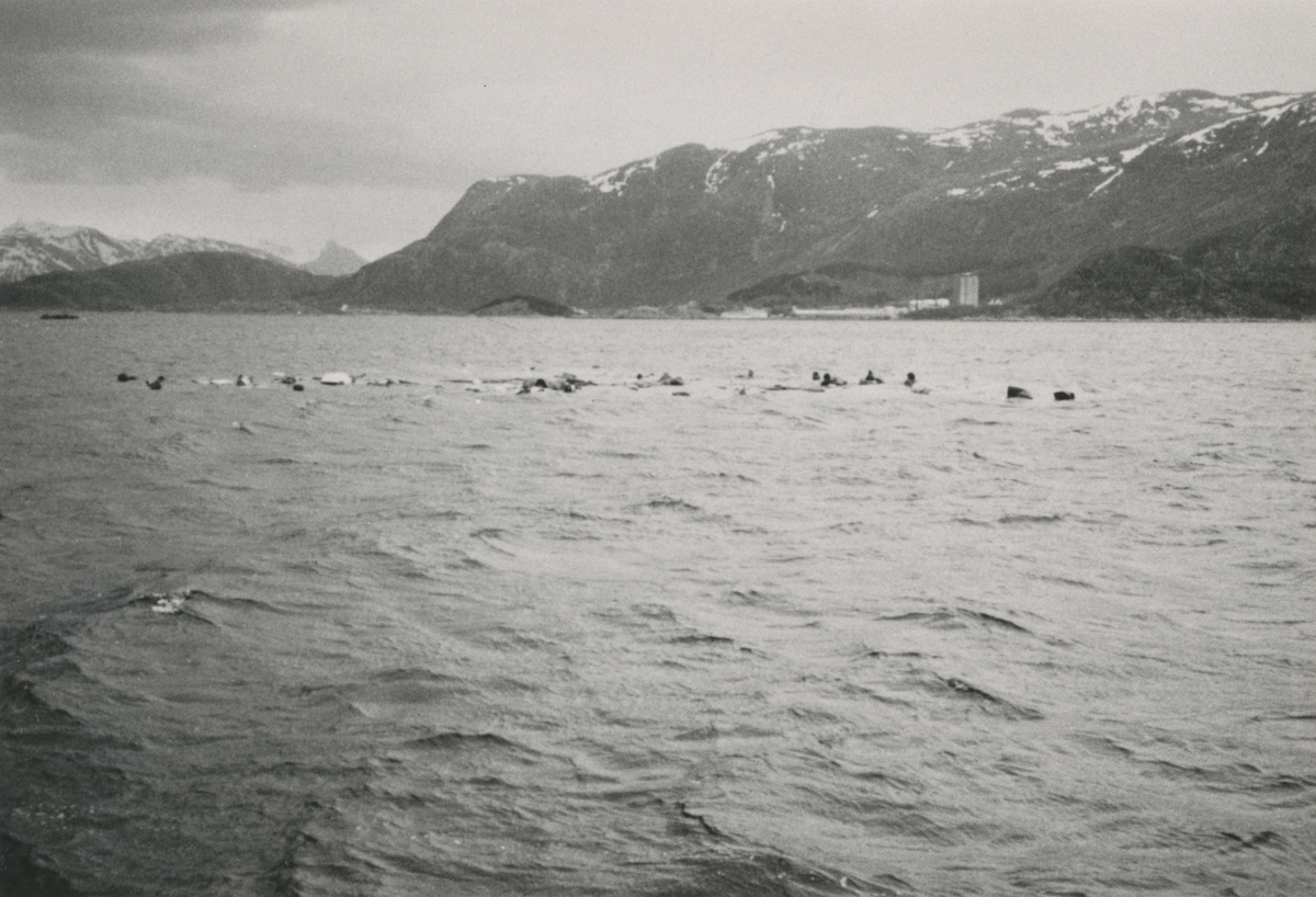 Folk(?) og utstyr i sjøen etter forliset av "Edda" under prøvetur i Herøyfjorden. Ingen ble skadet og 36 timer senere ble båten hevet. "Edda" er en kopi av Osebergskipet.