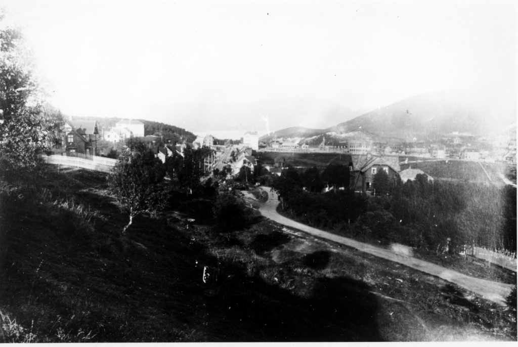 Narvik, Frydenlund, Villaveien som løper helt til Liabakken på Framnes.
Huset til høyre er "Meyergården". Den ble bygd av de tyske Hüttewerker ca 1915 for deres representant i Narvik.