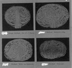 Amtsgartner Larsen. December 17.