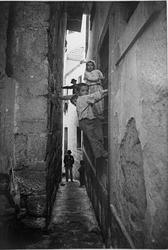 Pesten i Oporto o.l.